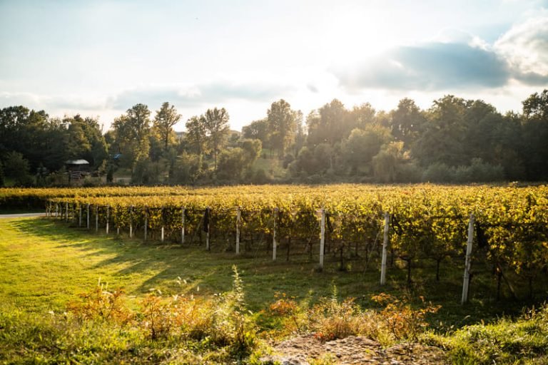 CASCINA RONCHETTO
