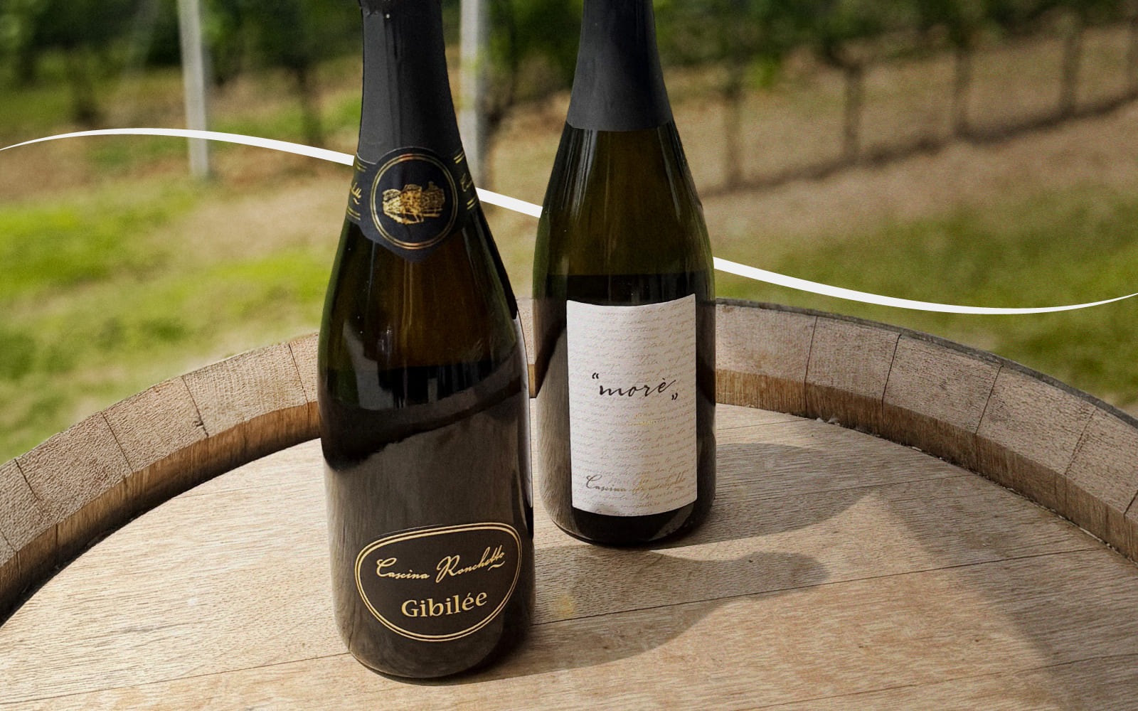 Cantina Aperta Cascina Ronchetto