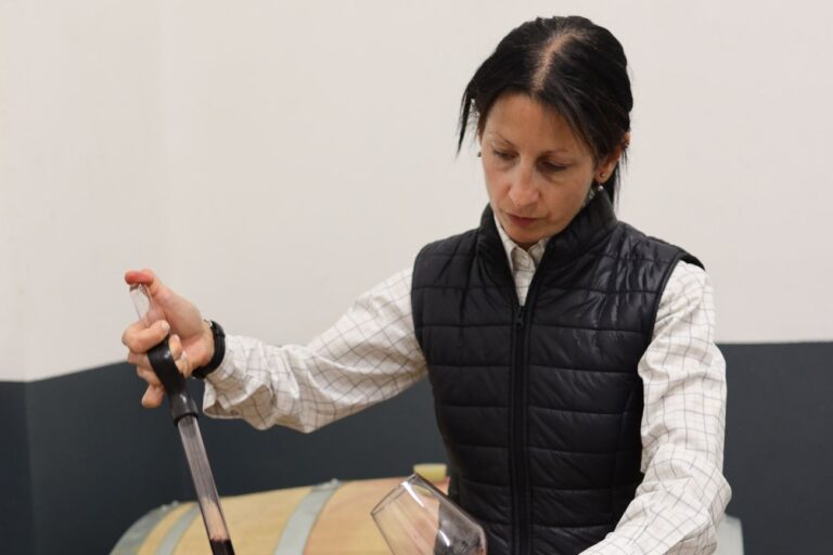 degustazioni vini con sommelier